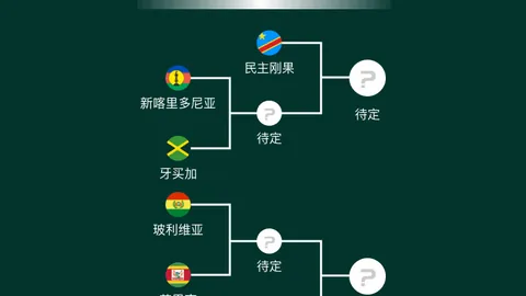 德约科维奇受伤频发：探析根源之谜